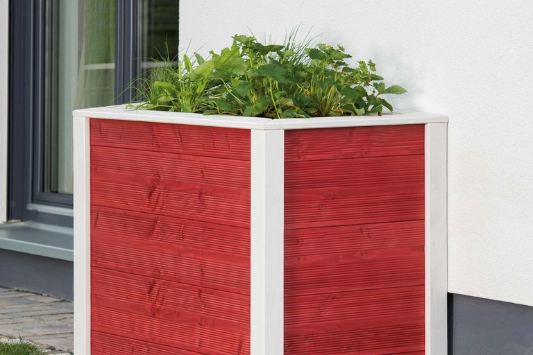 Jardinieră pătrată supraînălțată din lemn cu plante