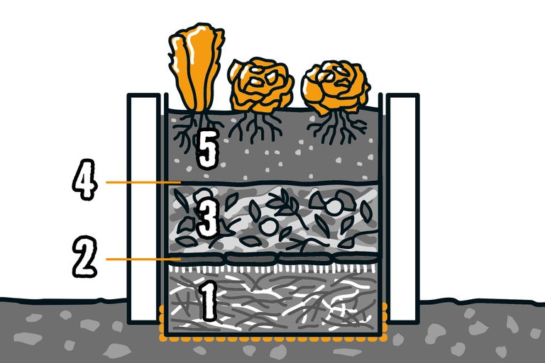 Ilustrație a unui strat înălțat în secțiune transversală cu straturi de așchii de lemn, crenguțe, compost și pământ cu plantare