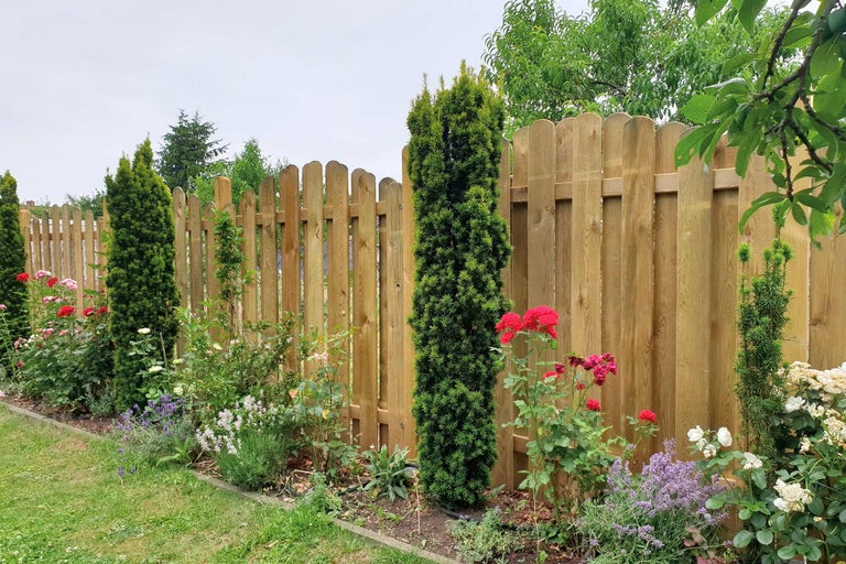 Gard din lemn cu plante și flori în grădină