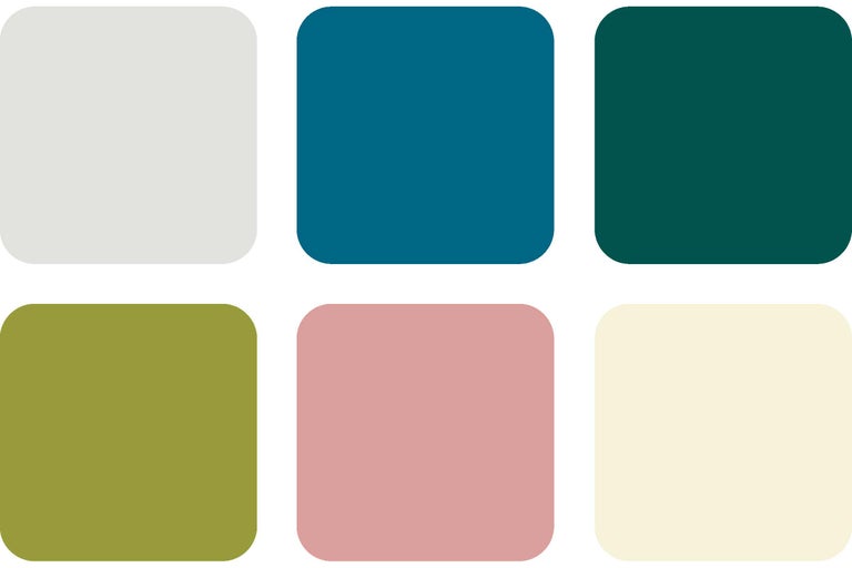 Mostră de culoare pentru selecția culorilor