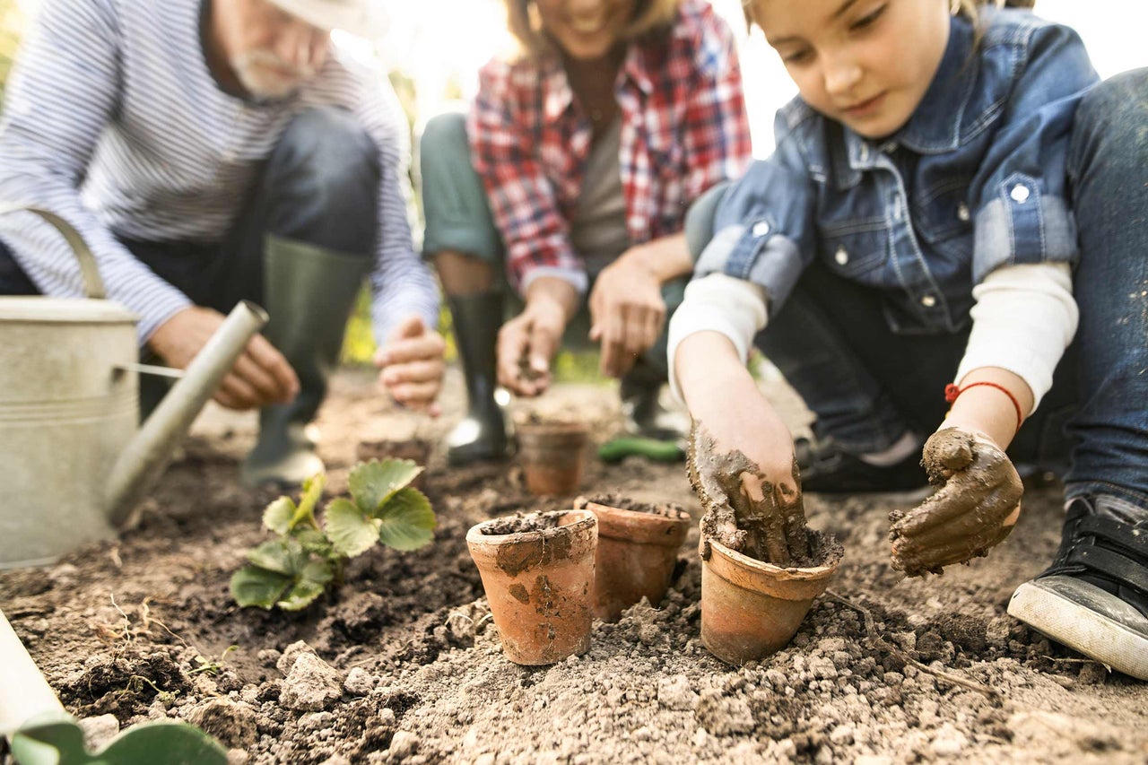 Familie plantează răsaduri în ghivece de teracotă în grădină.