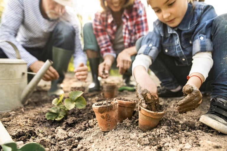 Familie plantează răsaduri în ghivece de teracotă în grădină.