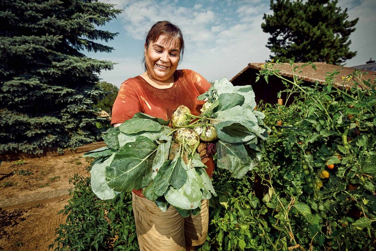 Femeie ținând gulii proaspăt culese în grădina de legume.