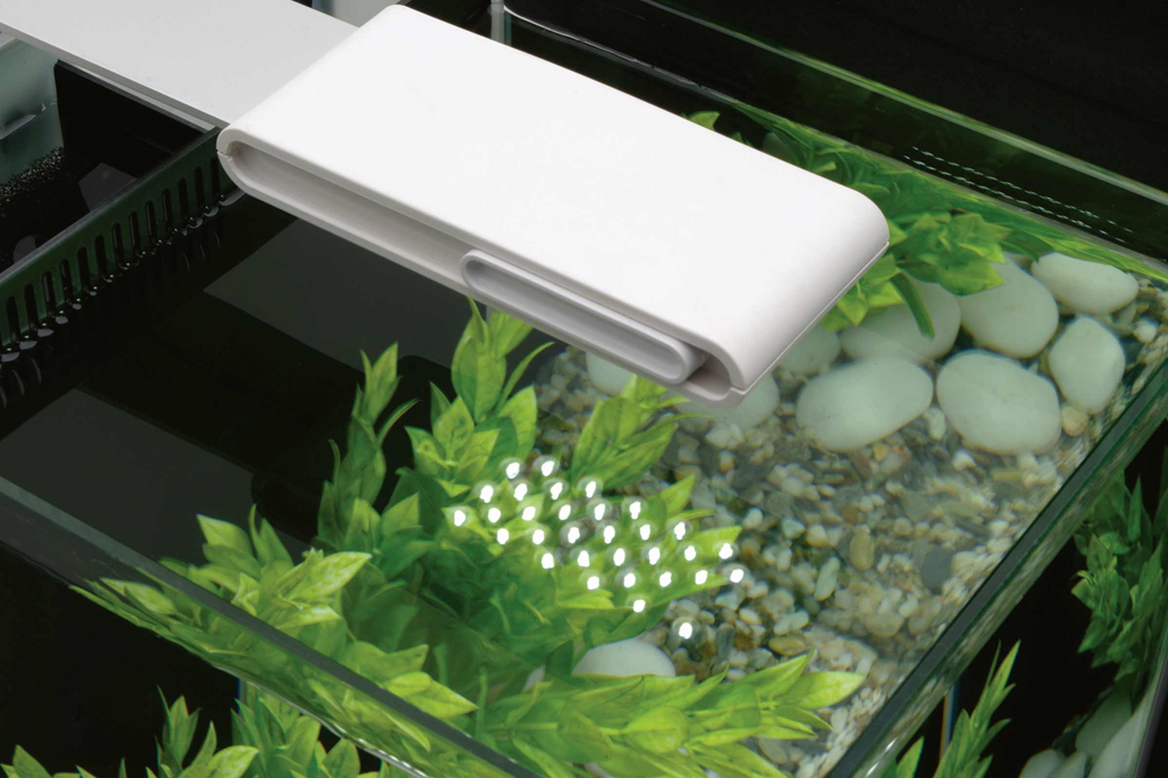 Acvariu cu iluminare LED, plante și pietre
