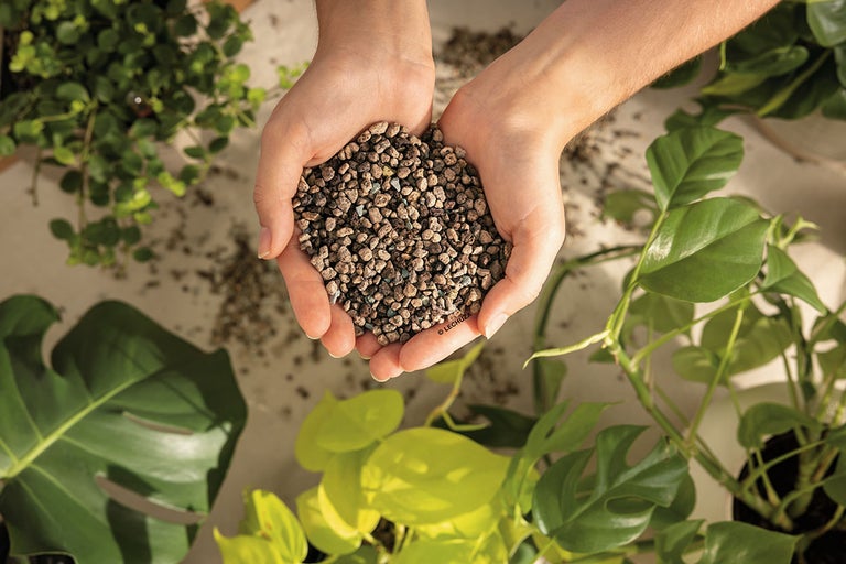Mâini ținând argilă expandată pentru plante, înconjurate de plante verzi