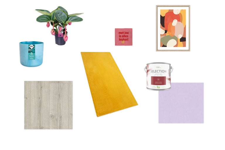 Amenajare cameră cu plantă Medinilla, jardinieră decorativă, covor, vopsea de perete, laminat și decorațiuni de perete