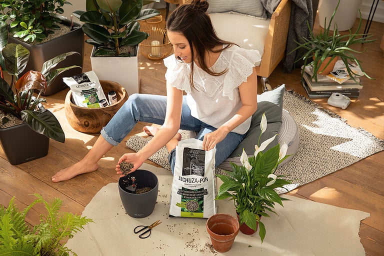 Femeie care replantează plante de interior cu Lechuza Pon în apartament