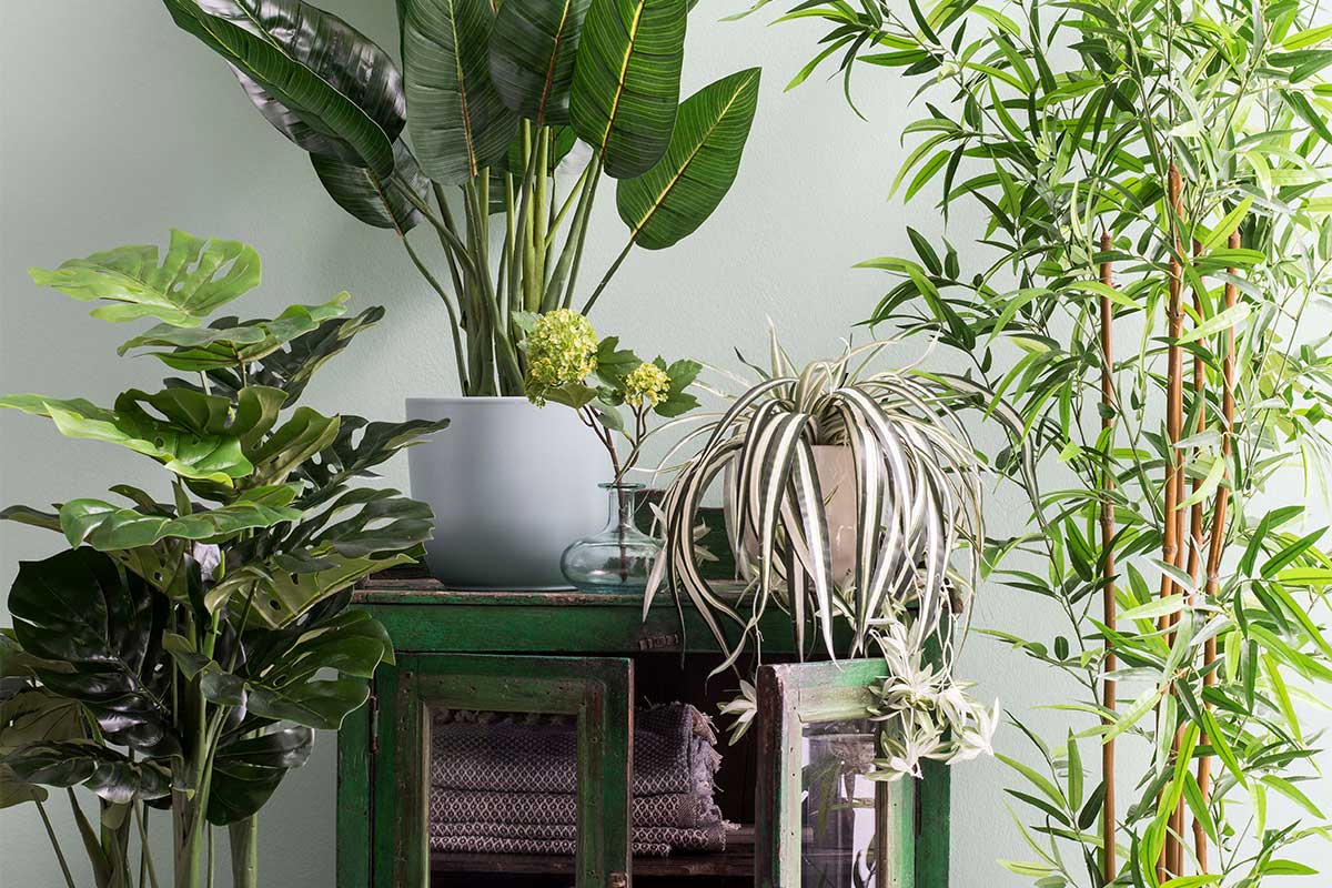 Plante artificiale decorative verzi aranjate pe un dulap