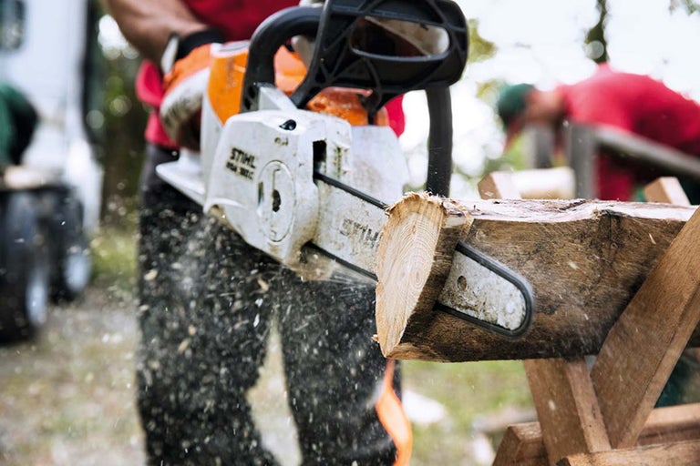 Drujba tăind un buștean pe un capră de tăiat lemne