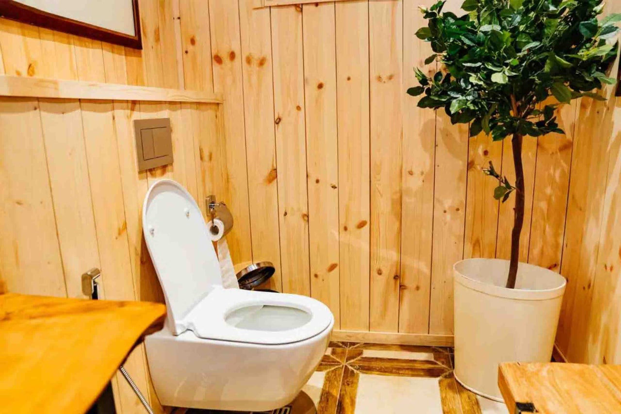 Baie cu un vas de WC suspendat alb în fața unui lambriu din lemn deschis și o plantă artificială mare într-un ghiveci alb.