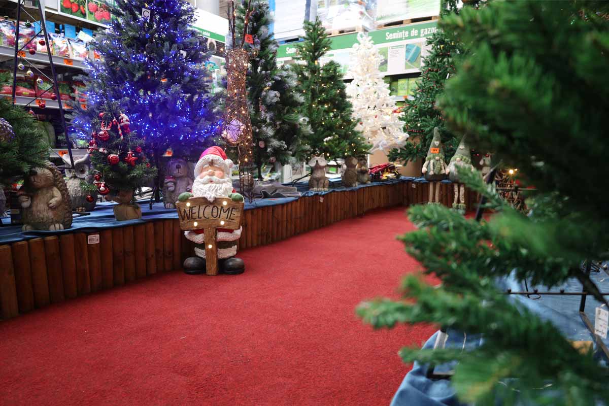 Brazi de Crăciun decorați și decorațiuni de Crăciun într-un magazin de bricolaj.