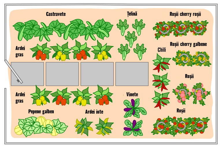 Ilustrație a unei grădini de legume cu castraveți, ardei, pepeni galbeni, ardei iuți, salată verde, vinete și roșii