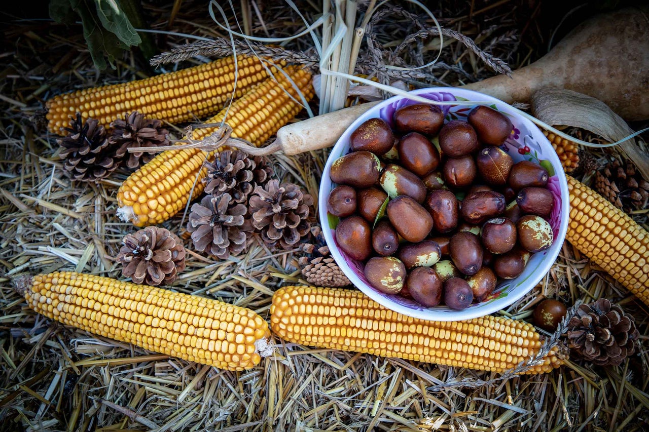 Natură statică decorativă cu știuleți de porumb, nuci de pin și fructe de jujube într-un bol