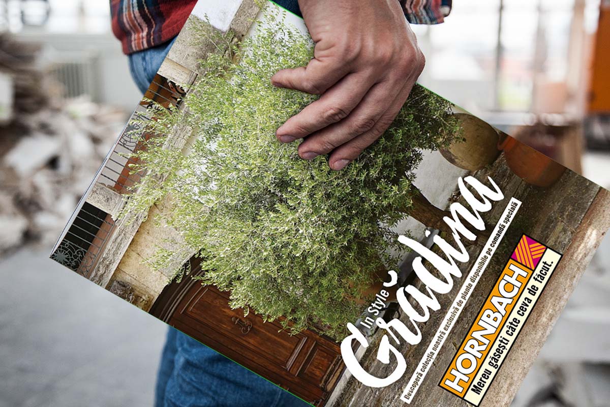 Mână ținând revista de grădinărit Hornbach Gradina cu imaginea unei plante verzi mari.