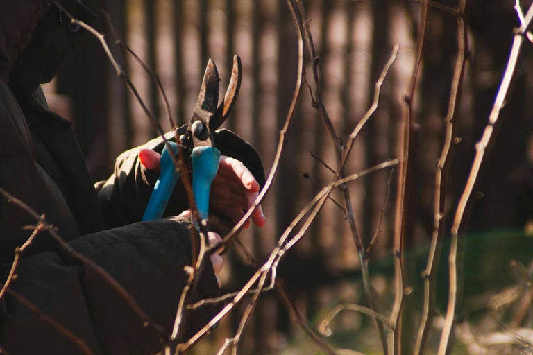 Foarfece de grădină pentru tăiat crengi