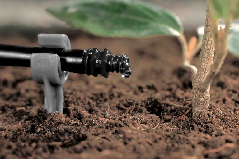 Picurător pentru irigare cu sol și plantă