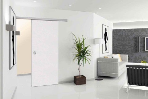 Living luminos cu ușă glisantă și plantă de interior