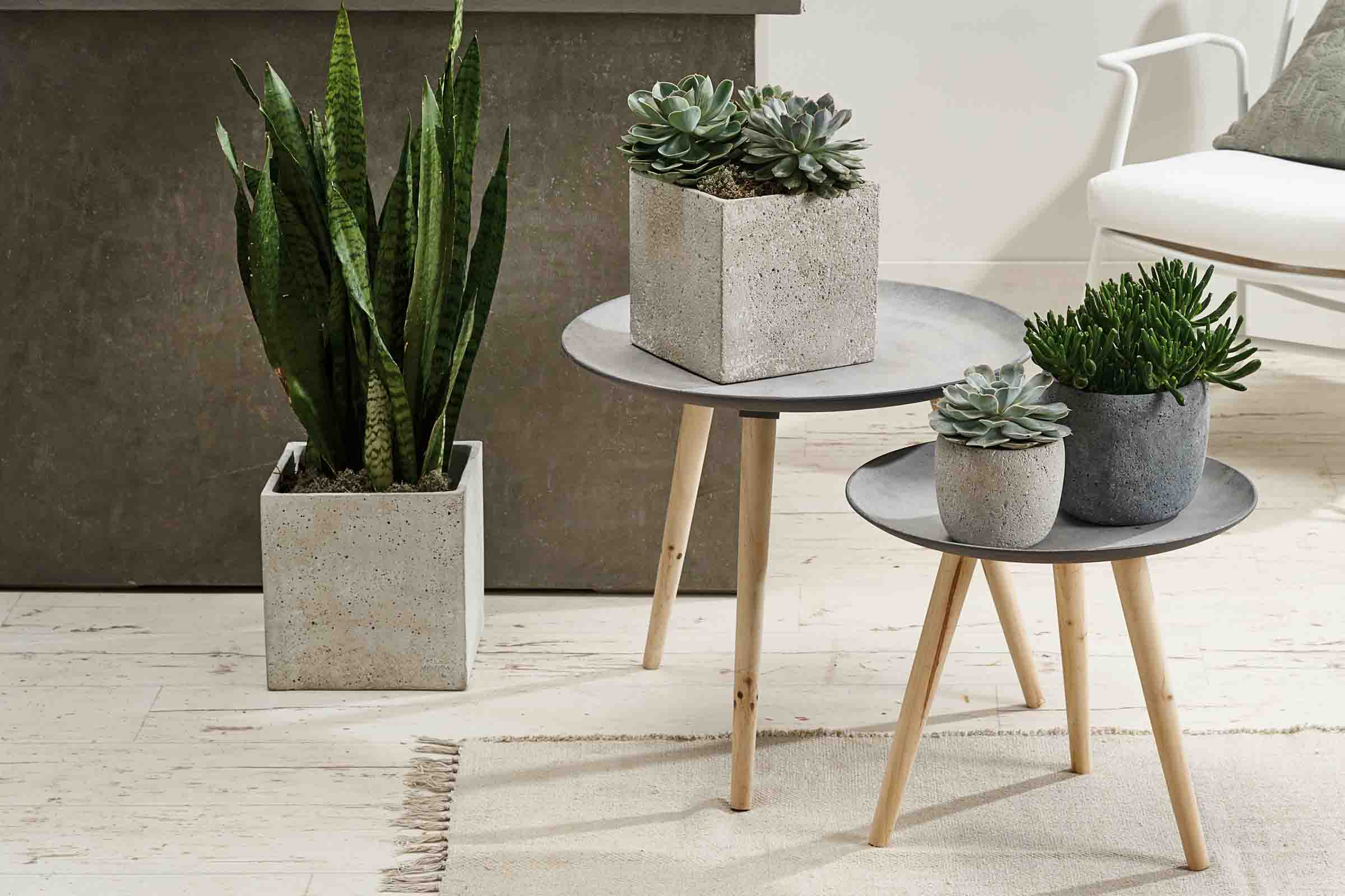 Plante de interior decorative în ghivece și măsuțe laterale din lemn și metal