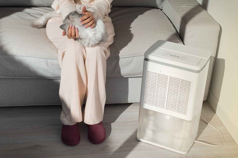 Ce face un dezumidificator: sfaturi pentru controlul umidității într-o cameră sau în casa dumneavoastră