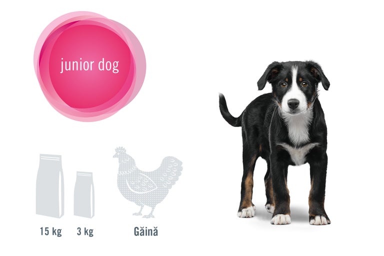 Ilustrație cu hrană pentru câini juniori cu aromă de pasăre, disponibilă în pachete de 3 kg și 15 kg, lângă un câine junior