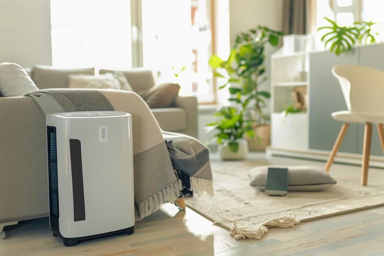 Purificator de aer în sufragerie lângă o canapea cu pătură și plante