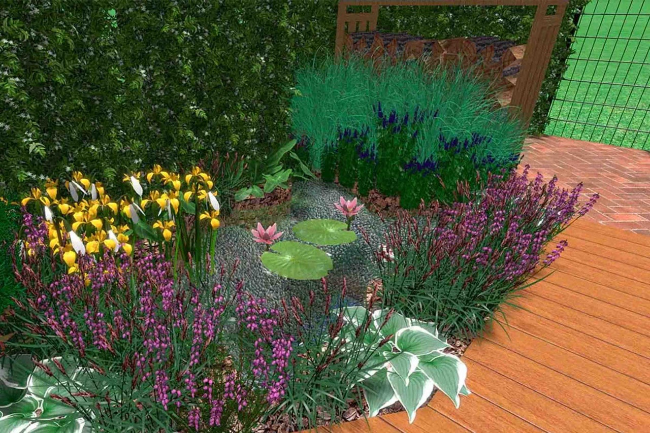Iaz mic de grădină cu nuferi, înconjurat de iriși galbeni, plante mov și hosta lângă o terasă de lemn.
