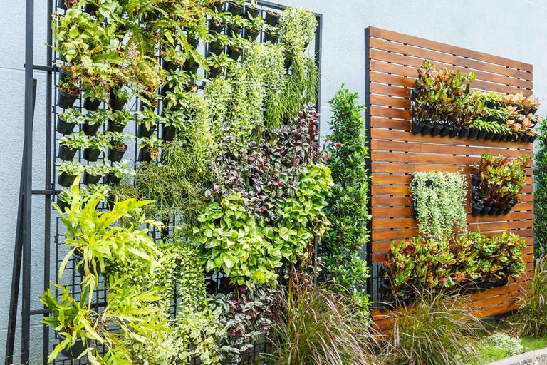 Grădina verticală - ce flori cresc cel mai bine pe verticală