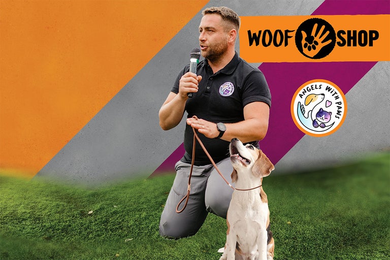 Workshop dresaj canin la HORNBACH Colentina