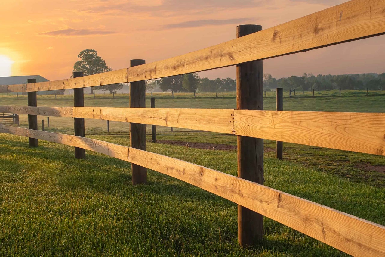 Gard din lemn într-o pajiște în lumina dimineții