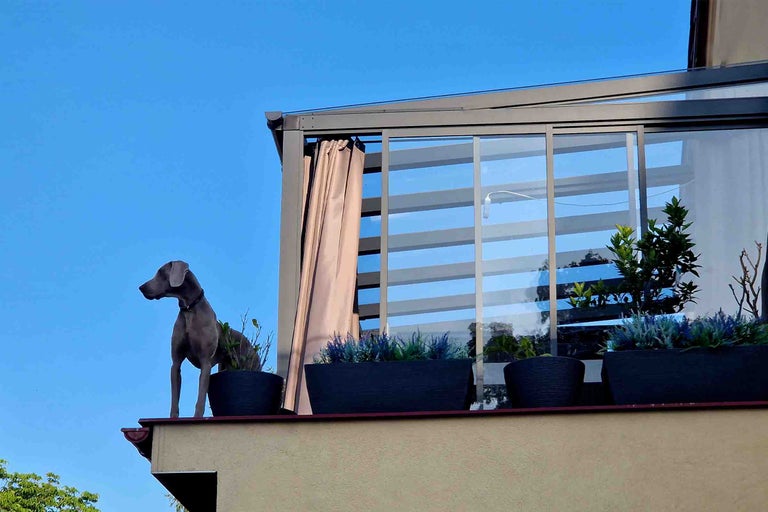 Acoperiș de terasă modern cu pereți culisanți din sticlă, perdele bej și ghivece de culoare închisă pe un balcon sub cerul albastru.