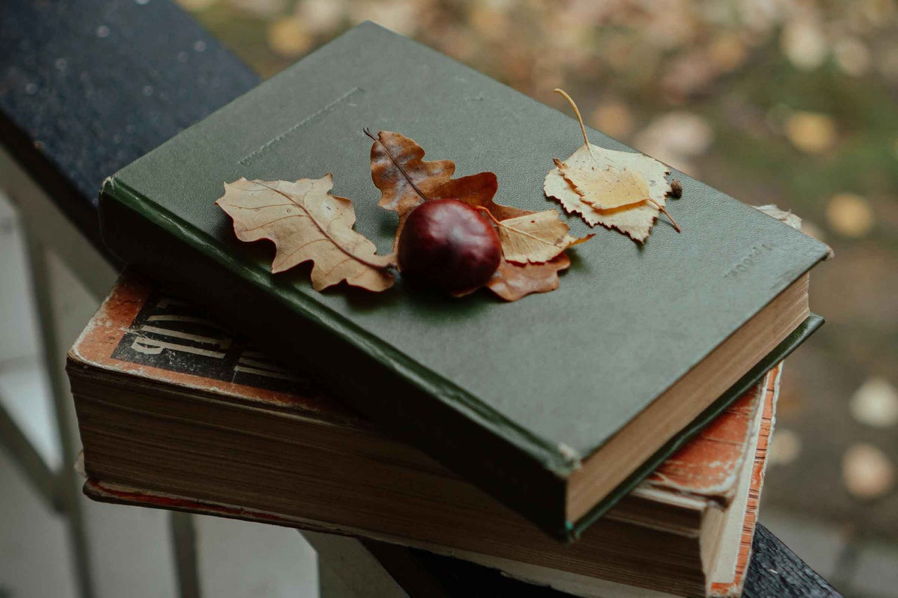 Cărți stivuite decorate cu frunze de toamnă și castane
