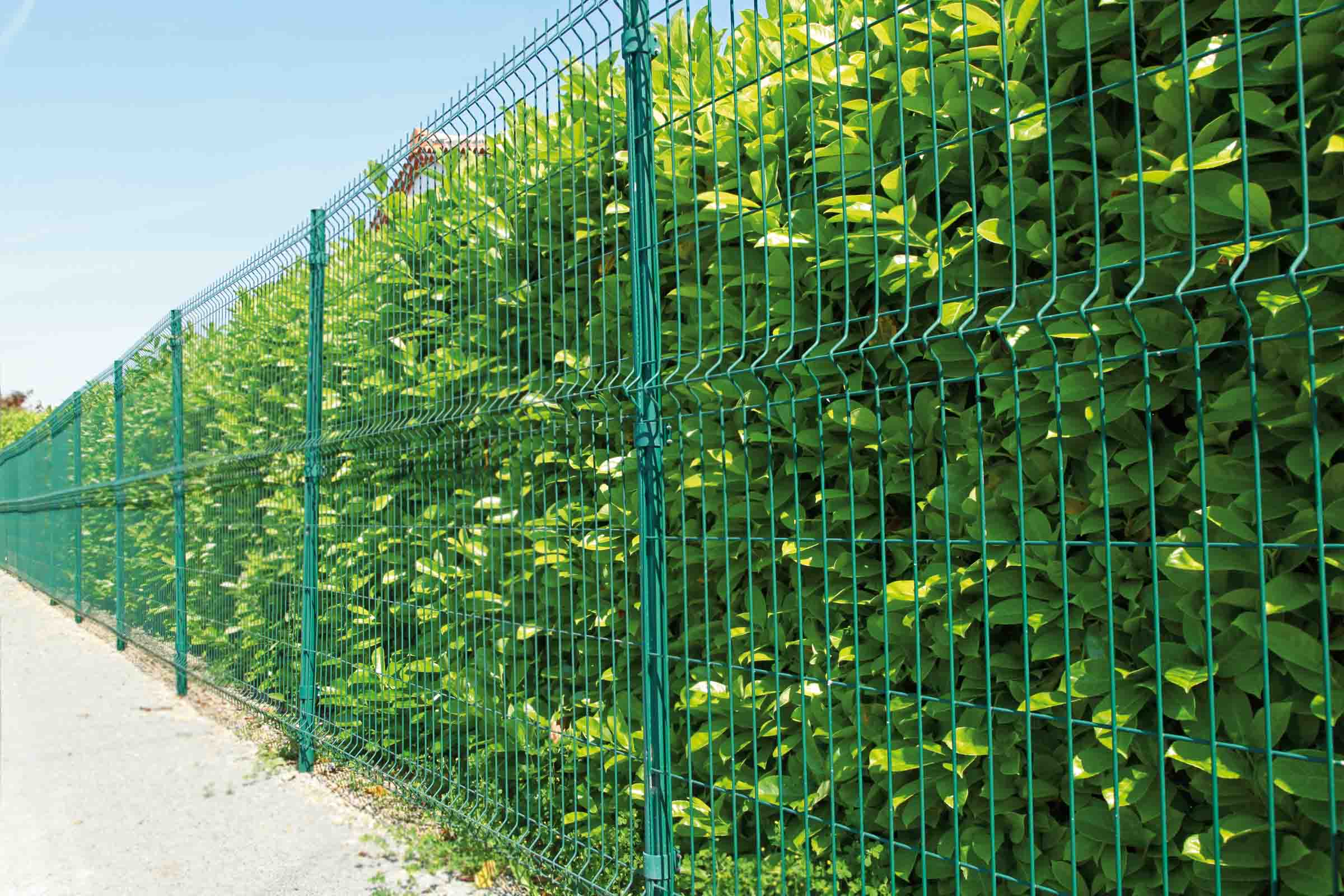 Gard verde din plasă sudată dublă în fața unui gard viu verde