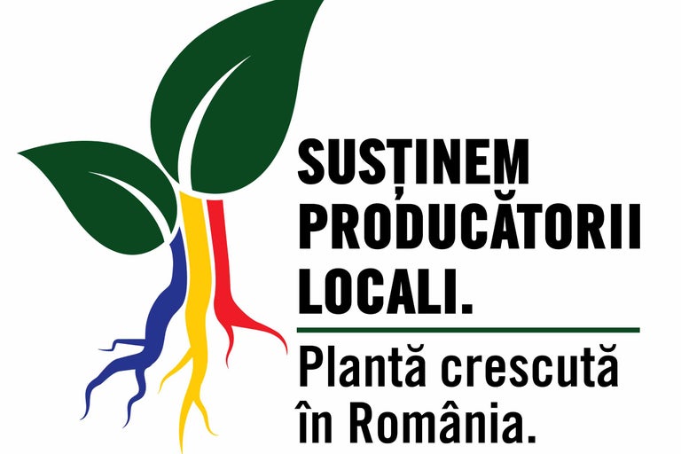 Susținem producătorii locali. Plantă crescută în România.