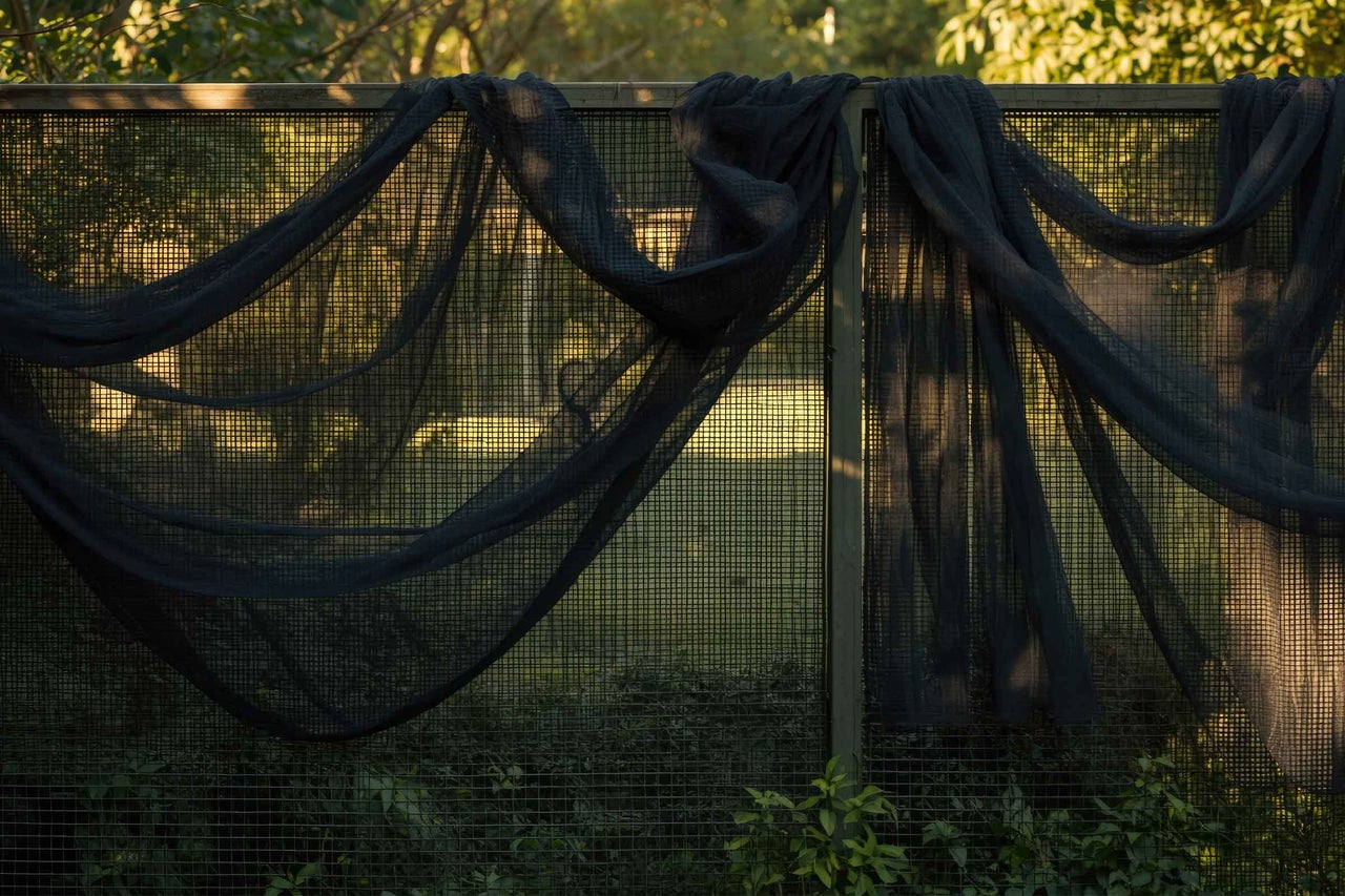 Gard de confidențialitate cu plasă neagră