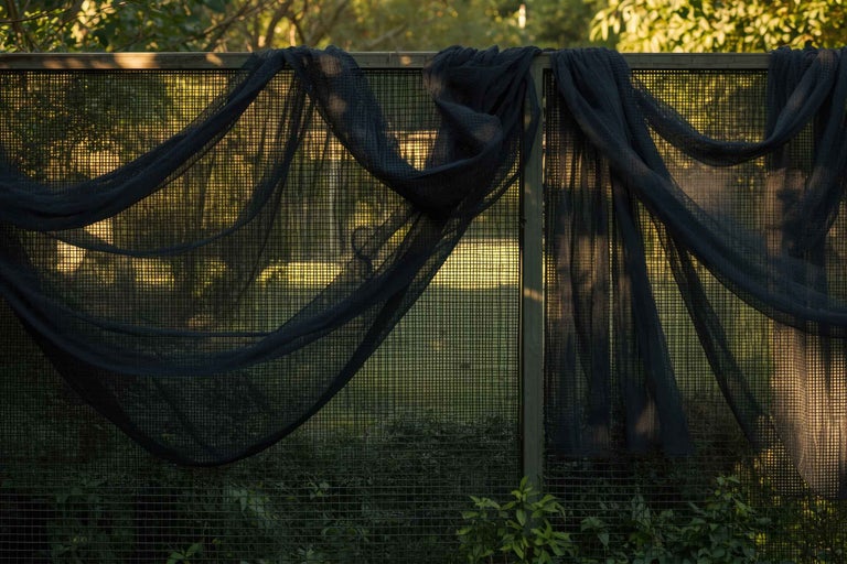 Gard de confidențialitate cu plasă neagră