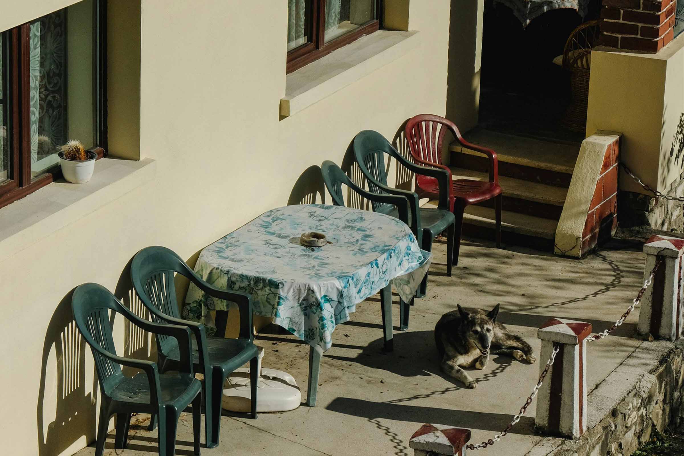 Scenă cu masă de grădină, scaune și un câine pe o terasă