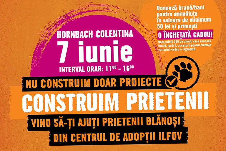 Proiecte cu suflet: susținere pentru animalele fără stăpân. Construim prietenii la HORNBACH Colentina