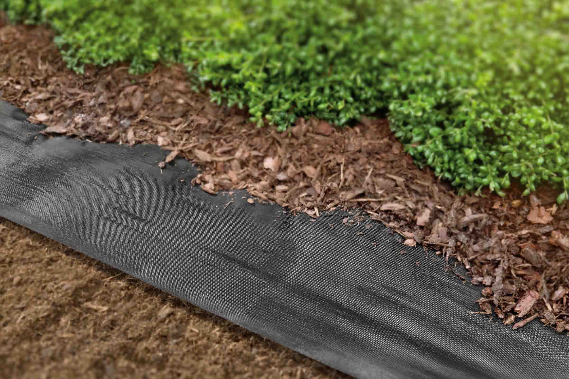 Scenă de grădină cu folie anti-buruieni, mulci de scoarță și plante