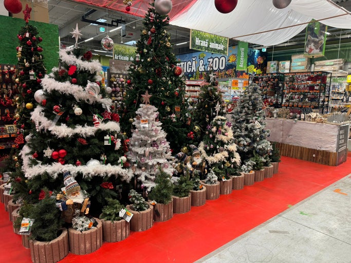 Selecție de pomi de Crăciun și decorațiuni de Crăciun în magazinul Hornbach.