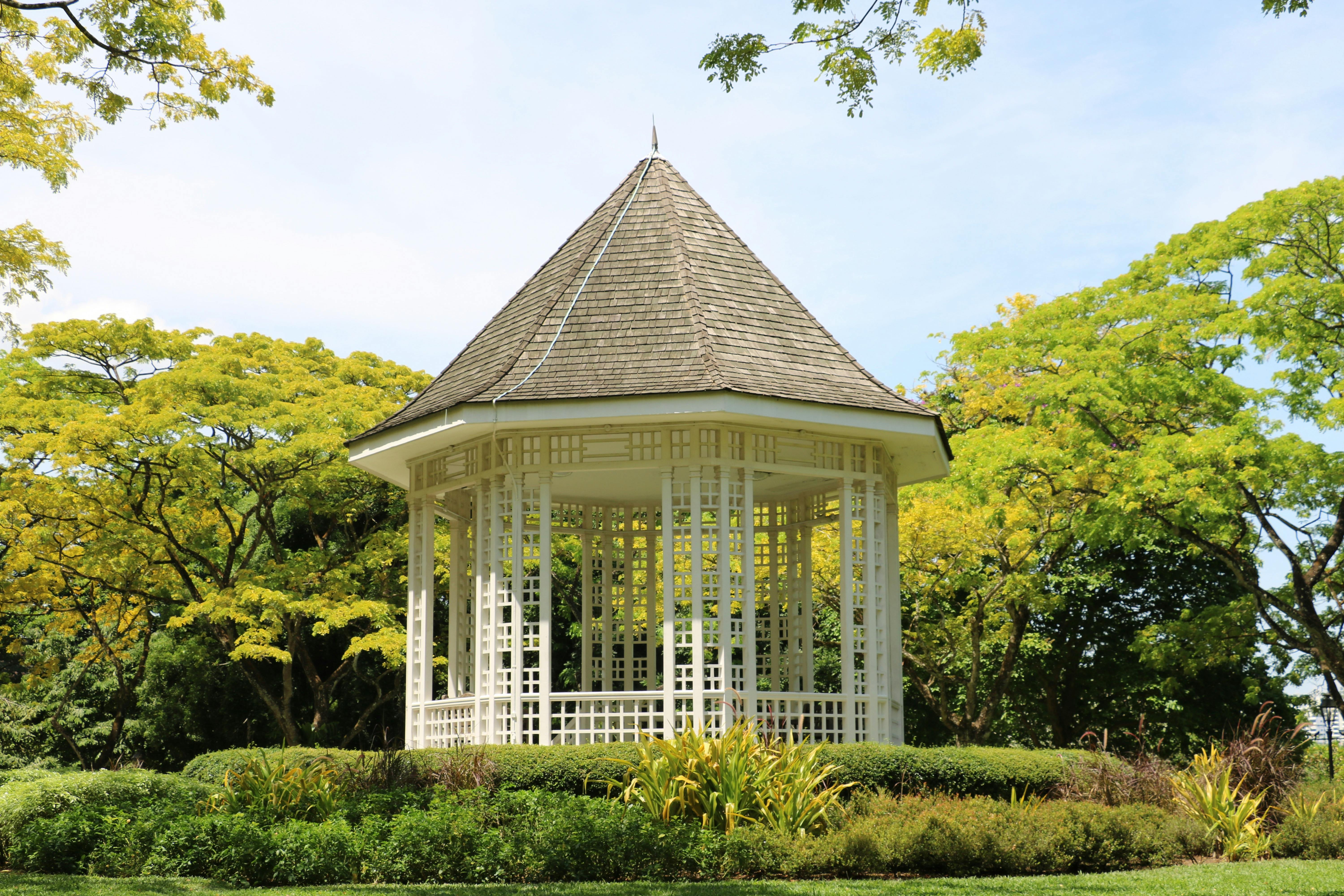 Pavilion cu acoperiș de lemn într-un mediu verde