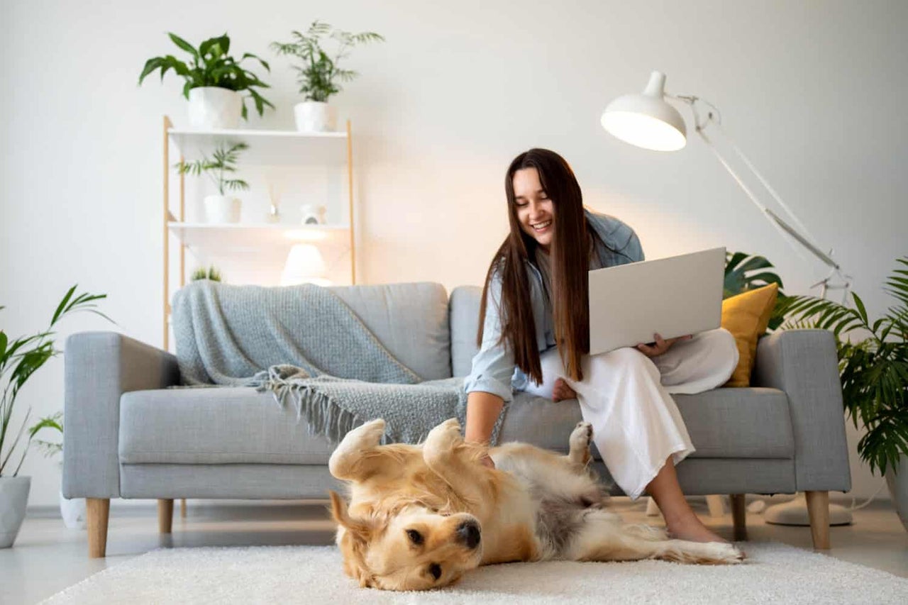 Femeie stând cu laptopul pe canapea și mângâind Golden Retriever