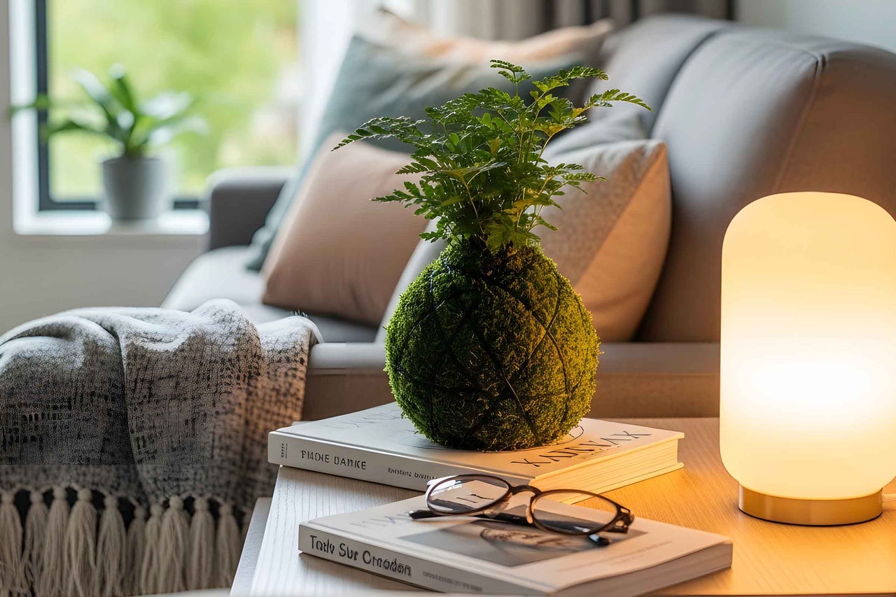 Planta Kokedama in bila de muschi cu feriga pe carti langa o veioza aprinsa intr o sufragerie moderna cu canapea gri