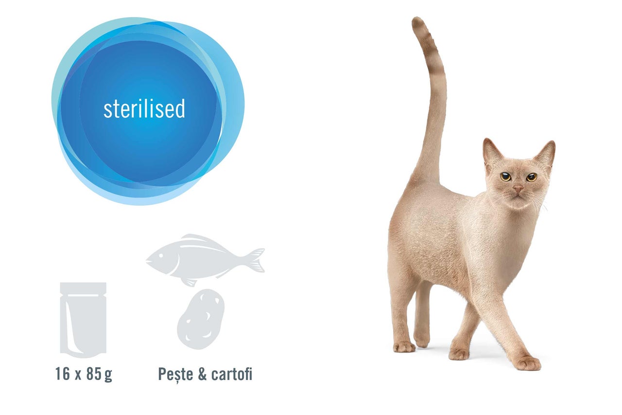 Hrană pentru pisici sterilizate cu pește și cartofi, 16 x 85 grame