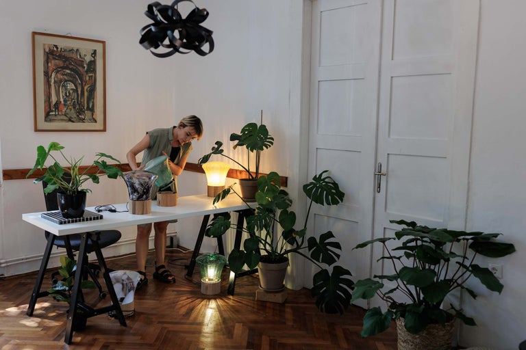 Cameră luminoasă cu plante de apartament, lămpi de masă și o femeie udând o plantă.