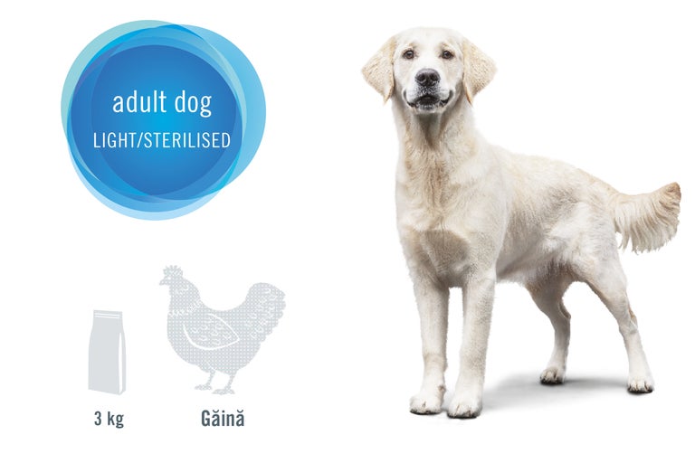 Hrană pentru câini adulți sterilizați, 3 kilograme, cu carne de pasăre