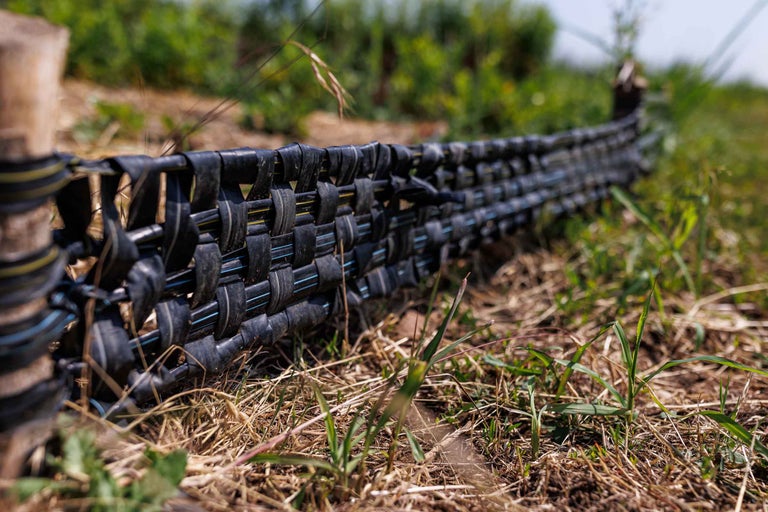 Prim-plan cu un gard împletit pentru sol în grădină.