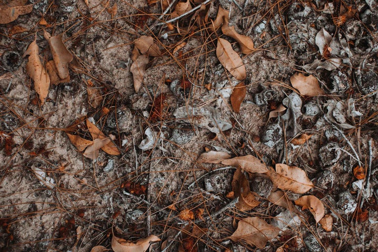 Solurile de iarnă și importanța aerârii