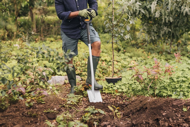 O persoană sapă o groapă cu o cazma în grădină pentru a planta un copac.