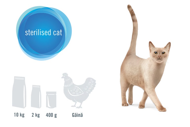 Hrană pentru pisici sterilizate cu pui