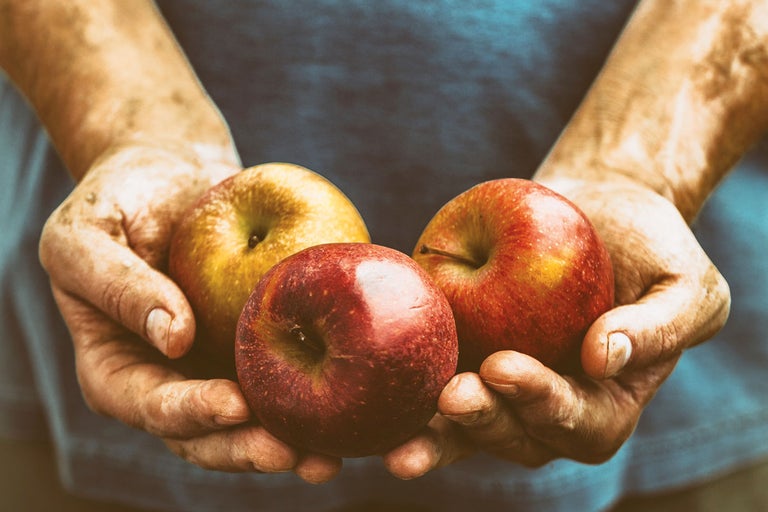 Mâini ținând trei mere